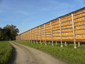 fer okt.14 015 300x225